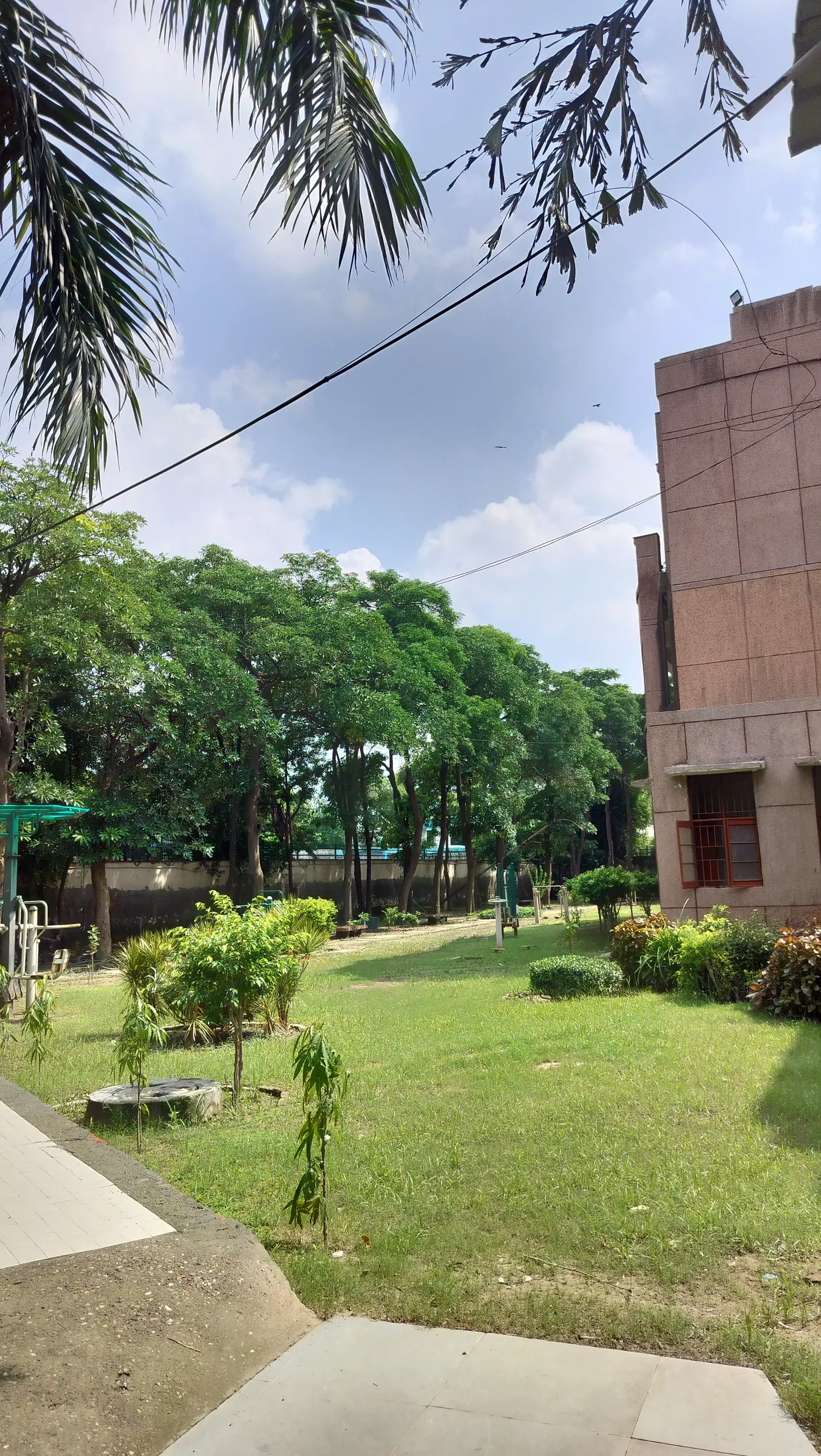 Dr. Bhim Rao Ambedkar College Sports photo 1